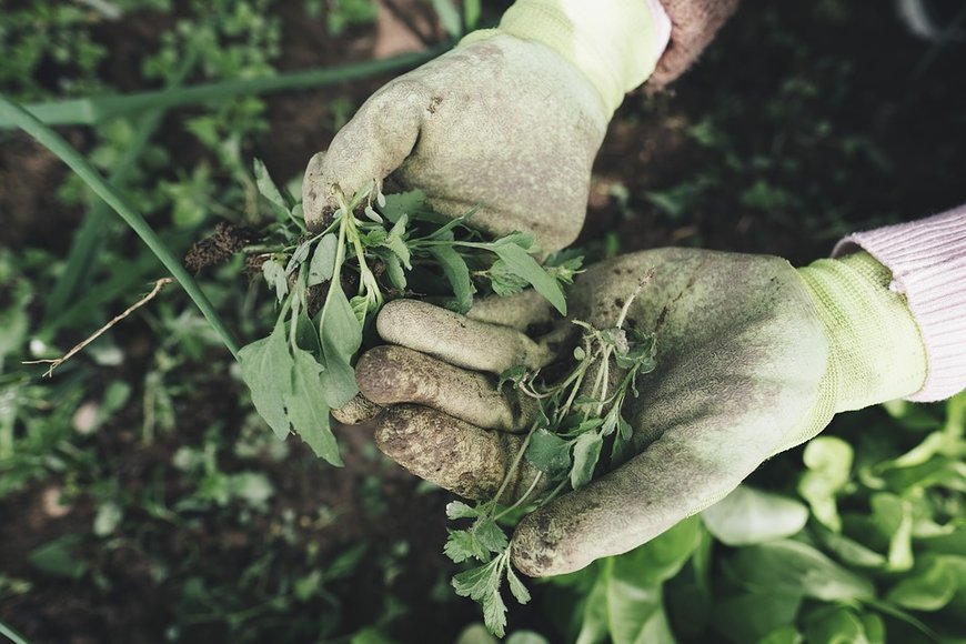 Soluzioni di qualità per una filiera agroalimentare resiliente